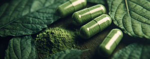 Kratom for Energy: Best Strains to Boost Focus & Motivation