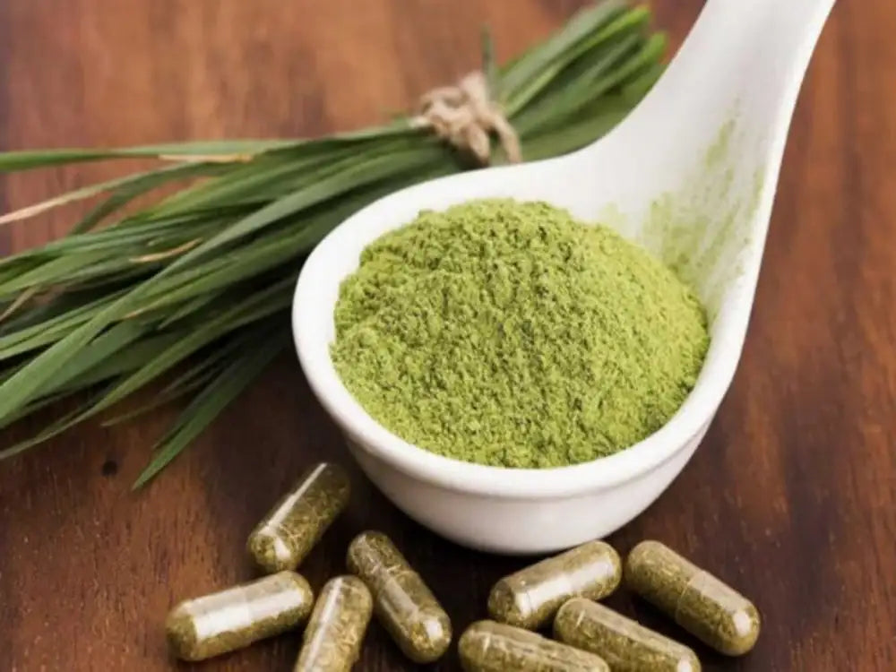 Can You Travel with Kratom? TSA, Road Trips & International Rules (2026)