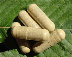 Premium Malaysian Kratom Capsules - KH