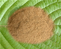 Red Vein Bali Kratom - KH