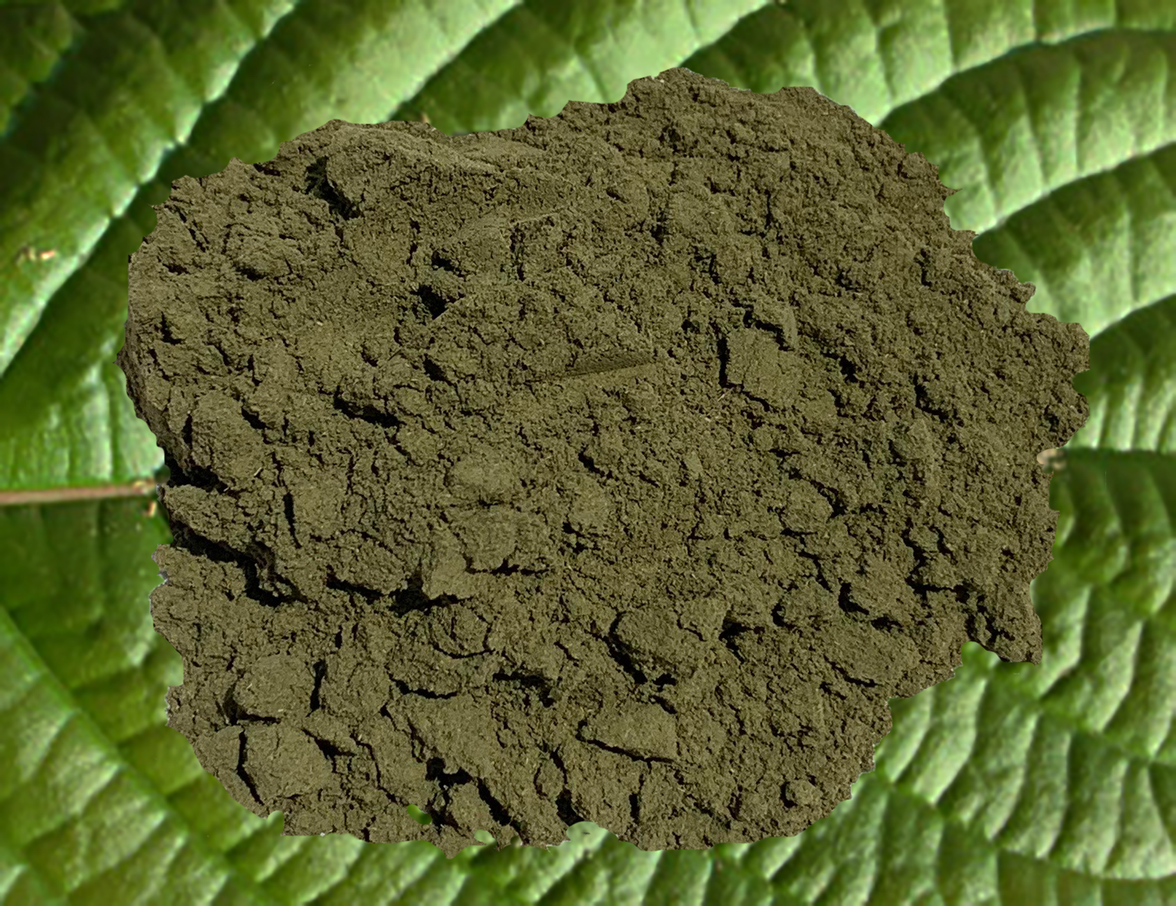 A.M. Kratom Powder - Kratom Herbs