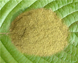 White Vein Bali Kratom Powder - KH