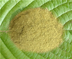 White Vein Bali Kratom Powder